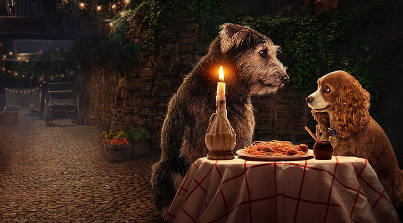 Lady and the Tramp Review: A Surprisingly Enchanting&nbsp;Adaptation.